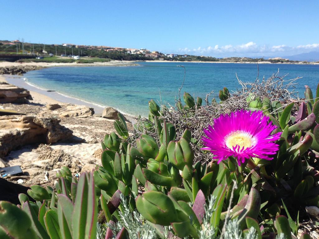 Da Patrizia Hotel Santa Teresa Gallura Luaran gambar